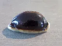 DSCN2405.webp