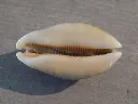 DSCN2406.webp