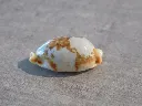 DSCN2374.webp