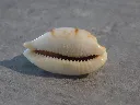 DSCN2375.webp