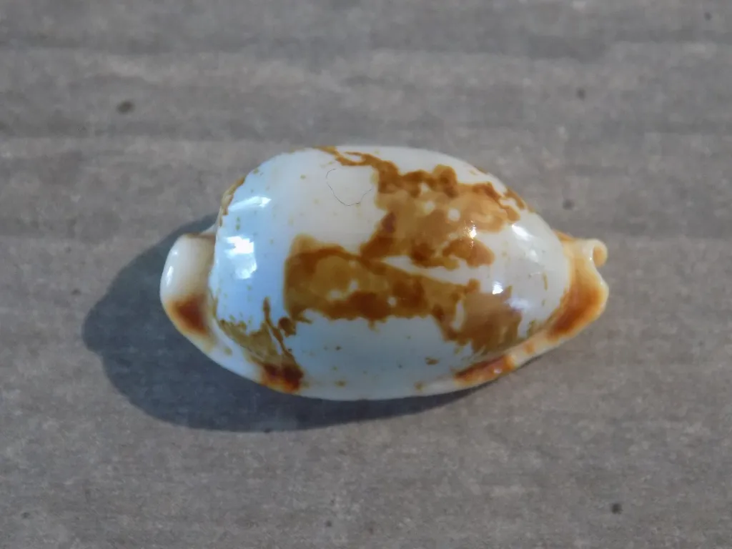 DSCN2376.webp