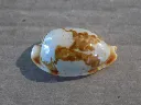 DSCN2376.webp