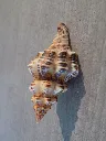 DSCN2345.webp