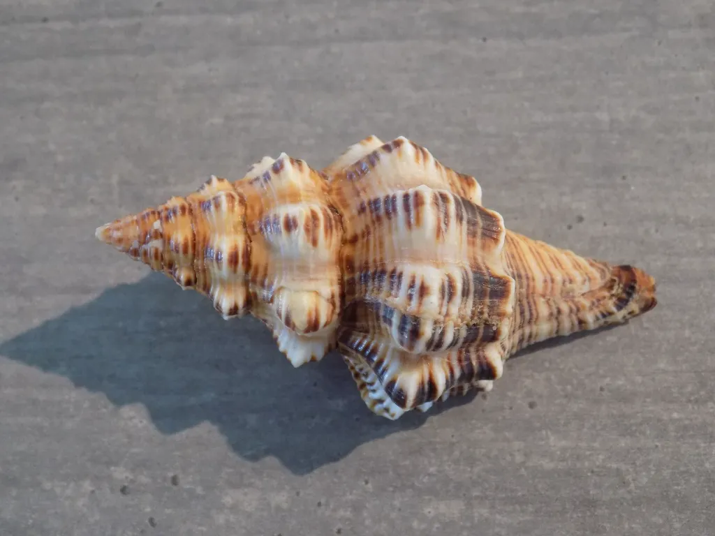 DSCN2348.webp