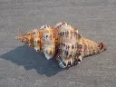 DSCN2348.webp