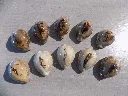 DSCN2442.webp
