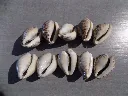 DSCN2443.webp