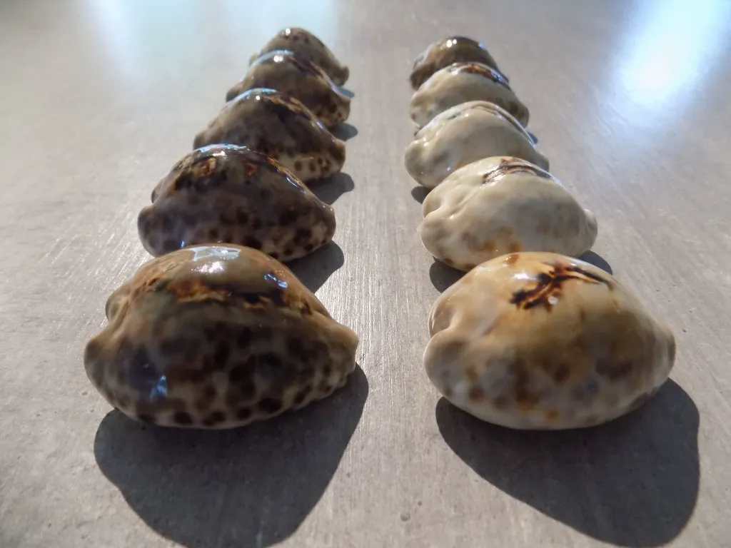 DSCN2444.webp