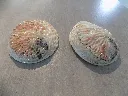 DSCN2458.webp