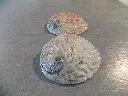 DSCN2459.webp
