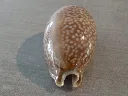 DSCN2488.webp