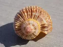 DSCN2570.webp
