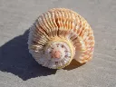 DSCN2572.webp