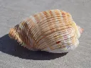 DSCN2573.webp