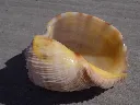 DSCN2574.webp