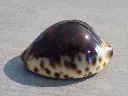 DSCN2591.webp