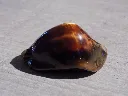 DSCN2601.webp