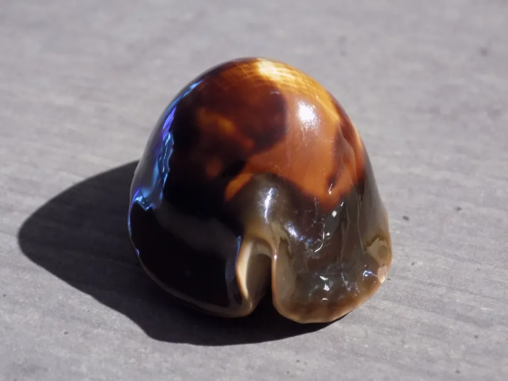 DSCN2603.webp