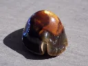 DSCN2603.webp