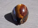 DSCN2602.webp