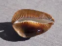 DSCN2604.webp