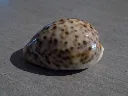 DSCN2644.webp