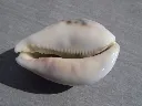 DSCN2645.webp