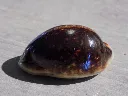 DSCN2649.webp