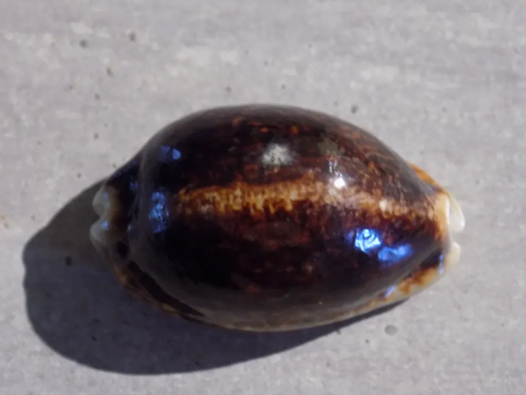DSCN2651.webp