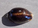 DSCN2651.webp