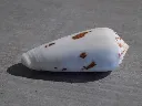 DSCN2654.webp