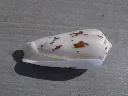 DSCN2655.webp