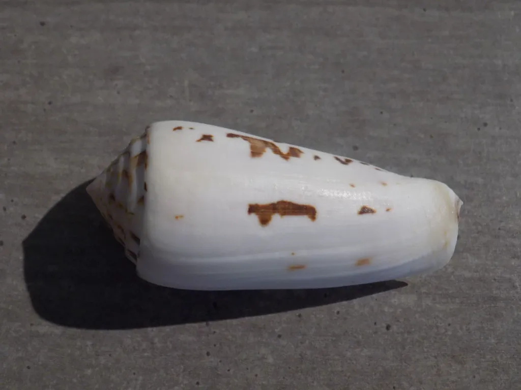 DSCN2661.webp