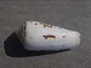 DSCN2661.webp