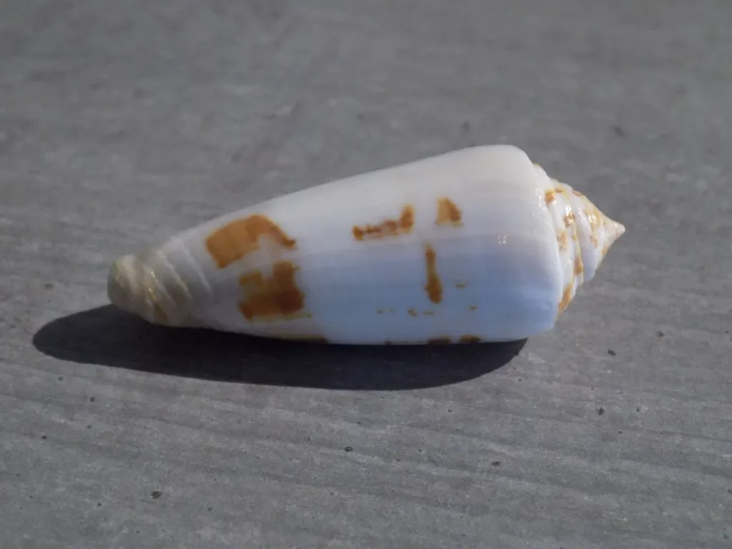 DSCN2667.webp