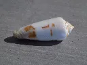 DSCN2667.webp