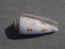 DSCN2668.webp