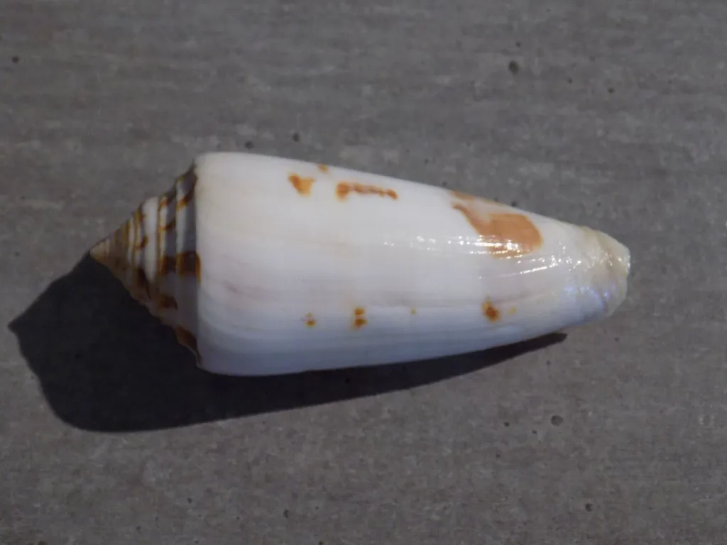 DSCN2669.webp