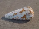 DSCN2671.webp
