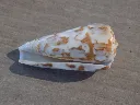 DSCN2672.webp