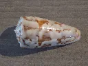 DSCN2673.webp