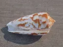 DSCN2676.webp