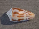 DSCN2677.webp