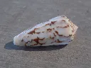 DSCN2679.webp