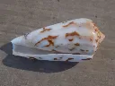 DSCN2680.webp