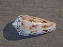 DSCN2681.webp