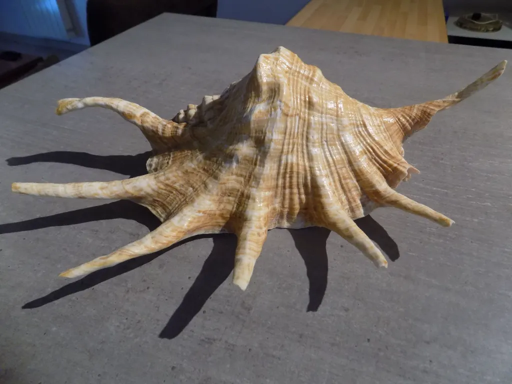 DSCN2682.webp
