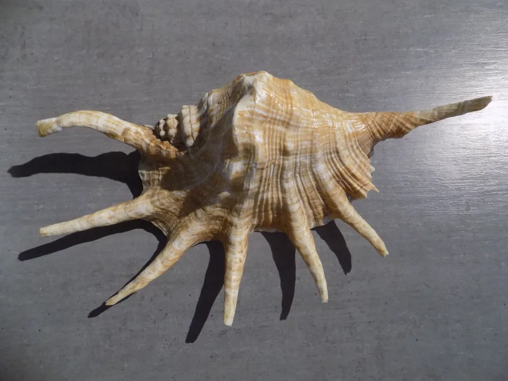 DSCN2685.webp