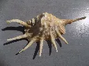DSCN2685.webp