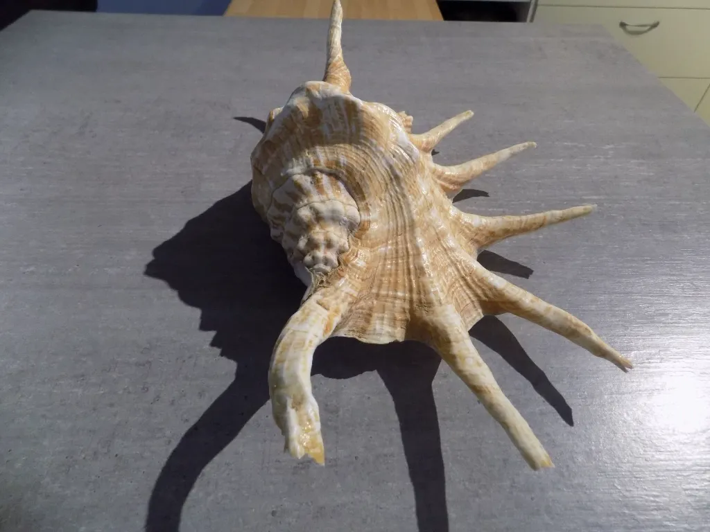 DSCN2686.webp